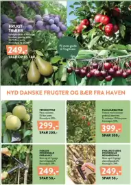 Plantorama tilbudsavis Side 6: Fiskars X serie PowerGear beskæresaks €249,00, Frugttræer €249,00