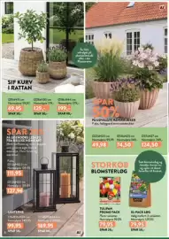 Plantorama tilbudsavis Side 8: Storkøb blomsterløg €79,95, Udvalgte havekrukker €49,98