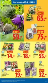 Lidl tilbudsavis uge 37 Side 32: Blomsterløg €18,00, Forårsblomsterløg €14,00