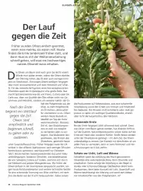 Alnatura Prospekt Seite 26
