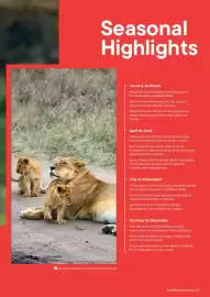Flight Centre brochure Page 13