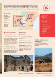Flight Centre brochure Page 23