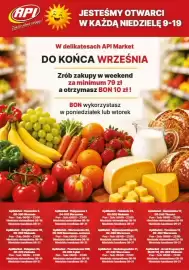 API MARKET gazetka tydzień 36 Strona 16