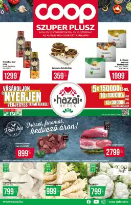 Coop akciós újság (érvényes eddig: 16-09)
