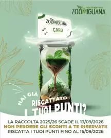 Volantino Zoomiguana Pagina 1