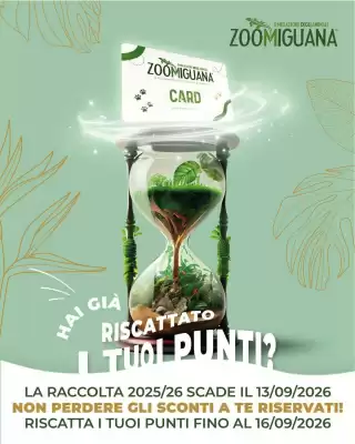 Zoomiguana (valido fino al 16-09)