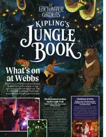 Webbs leaflet Page 4
