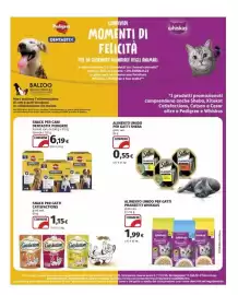 Volantino Coop Superstore Pagina 43: Alimento umido per gatti Sheba Classics €0,55, Snack per cani Dentastix Pedigree €6,19