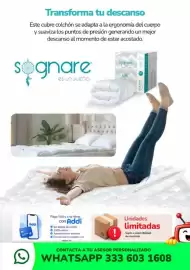 Catálogo TV Novedades Página 13