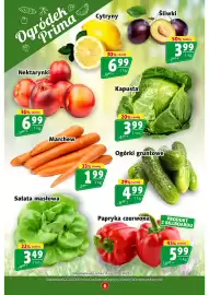 Prim Market gazetka tydzień 36 Strona 6: Ogórki gruntowe €4,99, Marchew €1,99