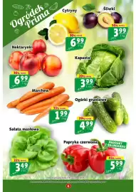 Prim Market gazetka tydzień 36 Strona 6: Ogórki gruntowe €4,99, Marchew €1,99