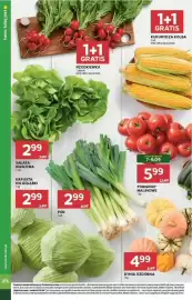 Stokrotka gazetka tydzień 36 Strona 12