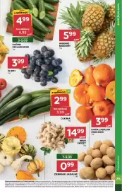 Stokrotka gazetka tydzień 36 Strona 13