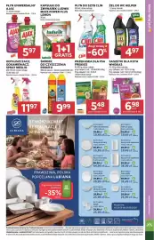 Stokrotka gazetka tydzień 36 Strona 51: Saszetki dla kota Whiskas €6,98, Środek do czyszczenia Pronto €9,99