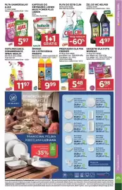 Stokrotka gazetka tydzień 36 Strona 51: Saszetki dla kota Whiskas €6,98, Środek do czyszczenia Pronto €9,99