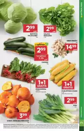 Stokrotka Market gazetka tydzień 36 Strona 13: Sałata Masłowa €2,99, Kapusta Na Gołąbki €2,99