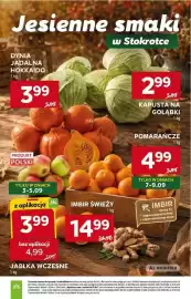 Stokrotka Market gazetka tydzień 36 Strona 14