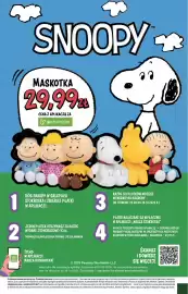Stokrotka Market gazetka tydzień 36 Strona 34