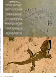 Dm Flugblatt Seite 101