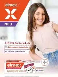 Dm Flugblatt Seite 77
