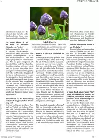 Dm Flugblatt Seite 81