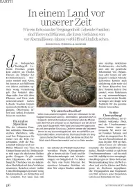 Dm Flugblatt Seite 96