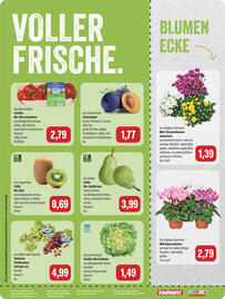 Feneberg Prospekt Seite 8