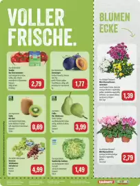 Feneberg Prospekt Seite 8