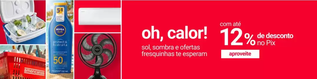 Catálogo Americanas Express Página 3