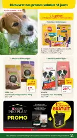 Maxi Zoo folder Pagina 5