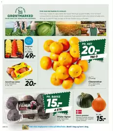 Bilka tilbudsavis uge 36 Side 20: Princip Clementiner €20,00, Frugtmix €49,00