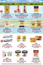 Farmer Jack's catalogue week 36 Page 15: Latina Fresh Pasta Sauce €5,50, Lurpak Spreadable Salted €17,99