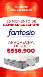 Catálogo Flamingo Página 2