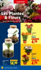 Catalogue Lidl semaine 36 page 34