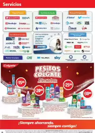 Folleto Farmacias Guadalajara Página 12