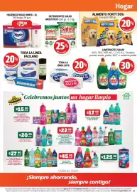 Folleto Farmacias Guadalajara Página 7: Regio Rinde+ €75,00, Salvo Multiusos