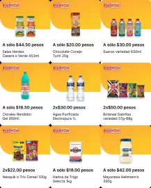 Catálogo OXXO Página 15
