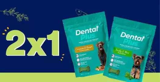 Catálogo Petco Página 21