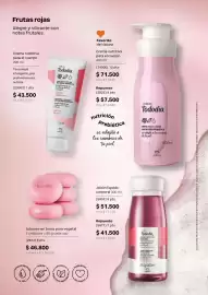 Catálogo Natura Página 106