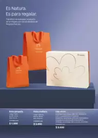 Catálogo Natura Página 19