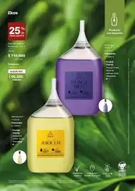 Catálogo Natura Página 39