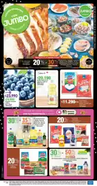 Catálogo Jumbo Página 1: Arroz blanco Diana vitamor o Sonora €11.290,00, Cuisine & Co aceite vegetal €20.190,00
