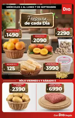 DIA (válido hasta 8-09)