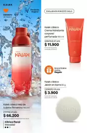 Catálogo Natura Página 116