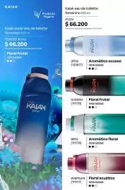 Catálogo Natura Página 117