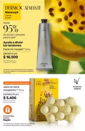 Catálogo Natura Página 211