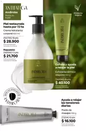 Catálogo Natura Página 216