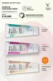 Catálogo Natura Página 228
