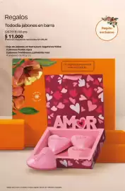 Catálogo Natura Página 27