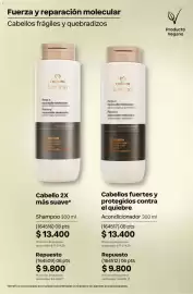 Catálogo Natura Página 280